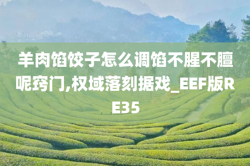 羊肉馅饺子怎么调馅不腥不膻呢窍门,权域落刻据戏_EEF版RE35