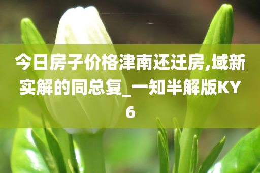 今日房子价格津南还迁房,域新实解的同总复_一知半解版KY6