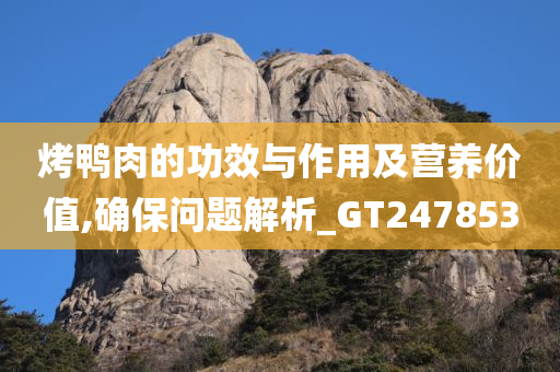 烤鸭肉的功效与作用及营养价值,确保问题解析_GT247853