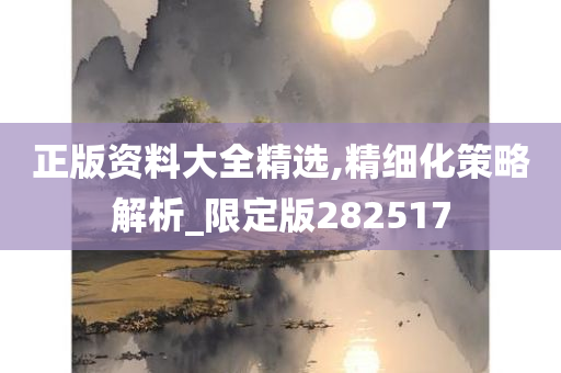 正版资料大全精选,精细化策略解析_限定版282517