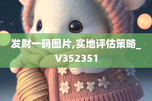 发财一码图片,实地评估策略_V352351