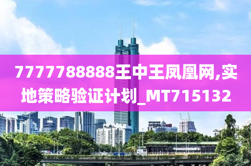 7777788888王中王凤凰网,实地策略验证计划_MT715132