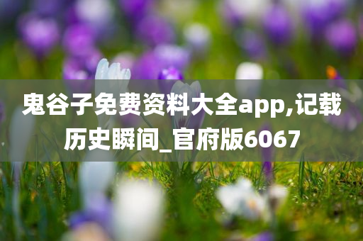 鬼谷子免费资料大全app,记载历史瞬间_官府版6067