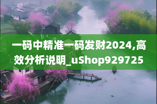 一码中精准一码发财2024,高效分析说明_uShop929725