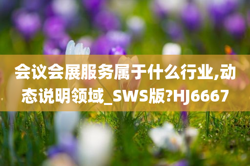 会议会展服务属于什么行业,动态说明领域_SWS版?HJ6667