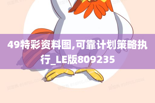 49特彩资料图,可靠计划策略执行_LE版809235