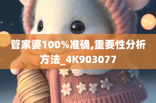 管家婆100%准确,重要性分析方法_4K903077