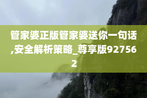 管家婆正版管家婆送你一句话,安全解析策略_尊享版927562