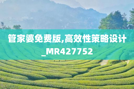 管家婆免费版,高效性策略设计_MR427752