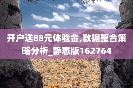 开户送88元体验金,数据整合策略分析_静态版162764