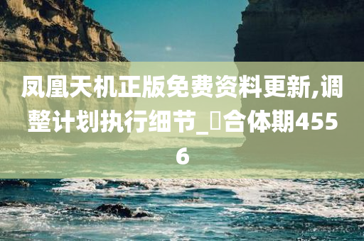 凤凰天机正版免费资料更新,调整计划执行细节_‌合体期4556