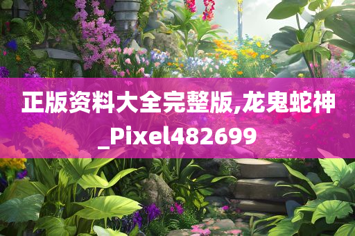 正版资料大全完整版,龙鬼蛇神_Pixel482699