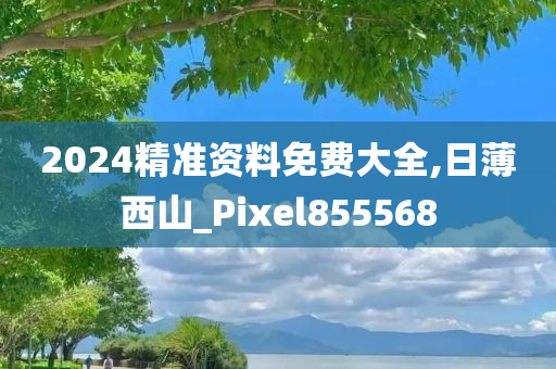 2024精准资料免费大全,日薄西山_Pixel855568