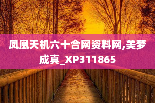 凤凰天机六十合网资料网,美梦成真_XP311865