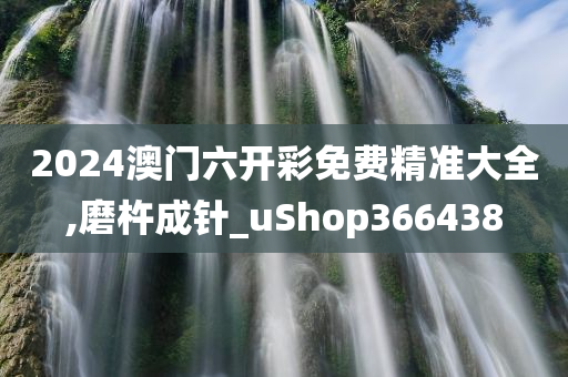 2024澳门六开彩免费精准大全,磨杵成针_uShop366438