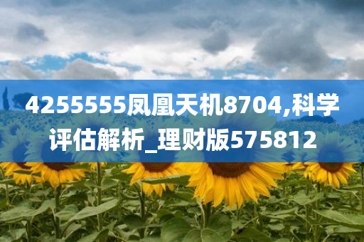 4255555凤凰天机8704,科学评估解析_理财版575812