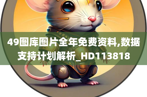 49图库图片全年免费资料,数据支持计划解析_HD113818