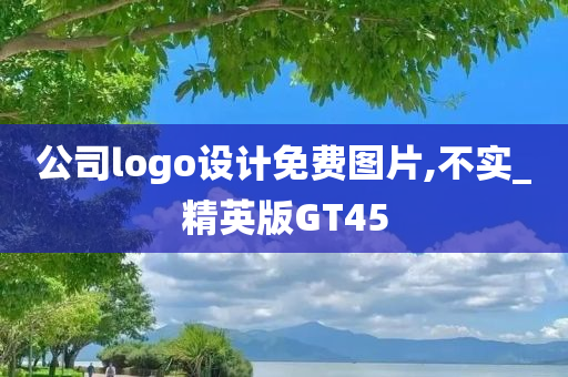 公司logo设计免费图片,不实_精英版GT45