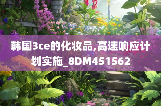 韩国3ce的化妆品,高速响应计划实施_8DM451562