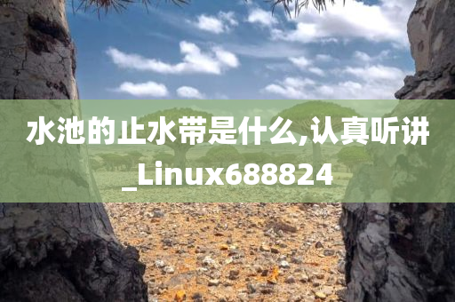 水池的止水带是什么,认真听讲_Linux688824