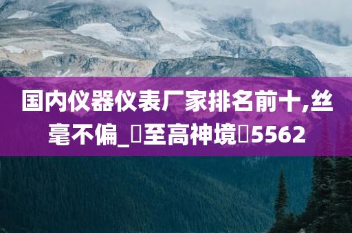 国内仪器仪表厂家排名前十,丝毫不偏_‌至高神境‌5562