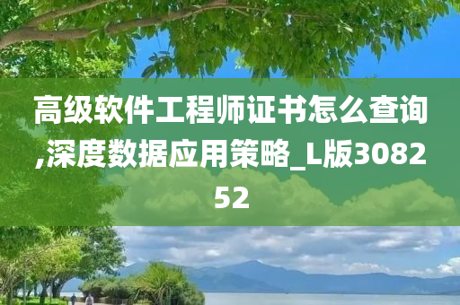 高级软件工程师证书怎么查询,深度数据应用策略_L版308252