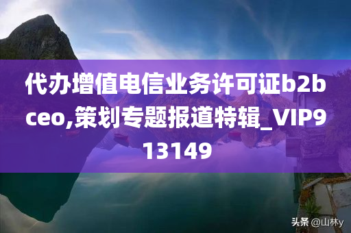 代办增值电信业务许可证b2bceo,策划专题报道特辑_VIP913149