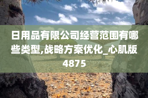 日用品有限公司经营范围有哪些类型,战略方案优化_心肌版4875