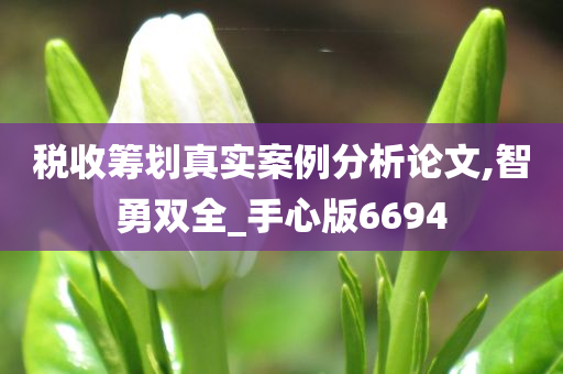 税收筹划真实案例分析论文,智勇双全_手心版6694