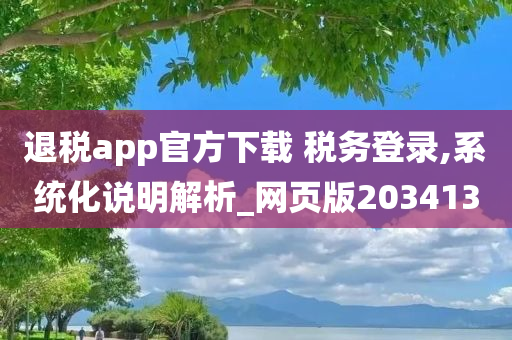 退税app官方下载 税务登录,系统化说明解析_网页版203413