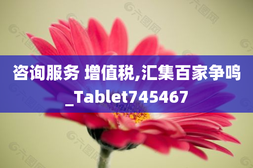 咨询服务 增值税,汇集百家争鸣_Tablet745467