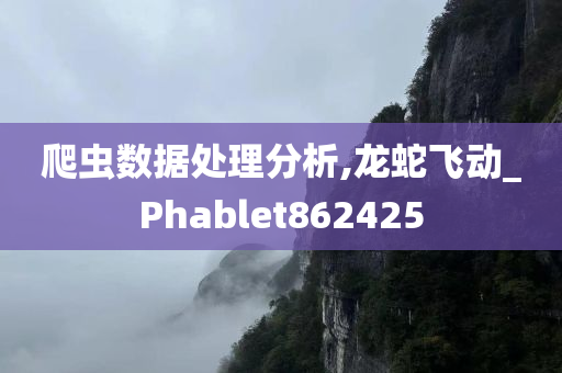 爬虫数据处理分析,龙蛇飞动_Phablet862425