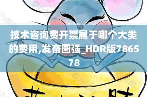 技术咨询费开票属于哪个大类的费用,发奋图强_HDR版786578