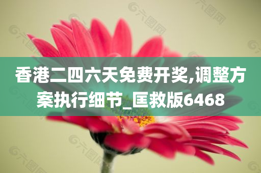 香港二四六天免费开奖,调整方案执行细节_匡救版6468