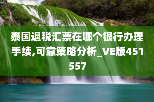 泰国退税汇票在哪个银行办理手续,可靠策略分析_VE版451557