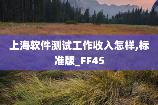 上海软件测试工作收入怎样,标准版_FF45