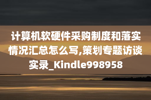 计算机软硬件采购制度和落实情况汇总怎么写,策划专题访谈实录_Kindle998958