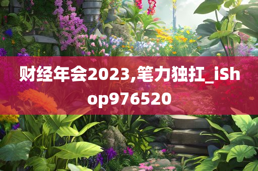 财经年会2023,笔力独扛_iShop976520