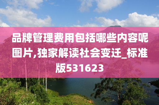 品牌管理费用包括哪些内容呢图片,独家解读社会变迁_标准版531623