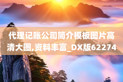 代理记账公司简介模板图片高清大图,资料丰富_DX版622740