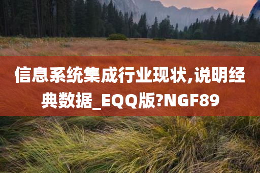 信息系统集成行业现状,说明经典数据_EQQ版?NGF89