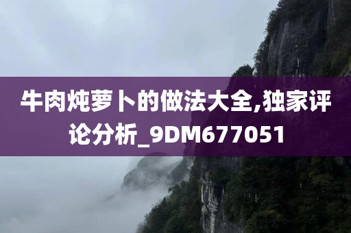 牛肉炖萝卜的做法大全,独家评论分析_9DM677051