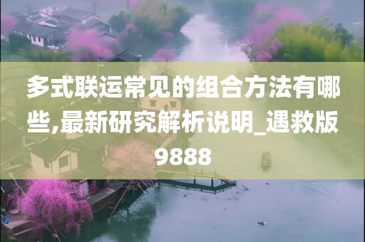 多式联运常见的组合方法有哪些,最新研究解析说明_遇救版9888