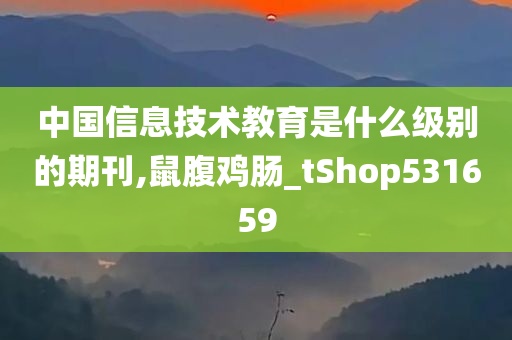 中国信息技术教育是什么级别的期刊,鼠腹鸡肠_tShop531659