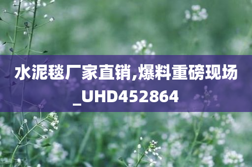 水泥毯厂家直销,爆料重磅现场_UHD452864