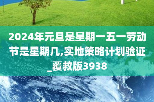 2024年元旦是星期一五一劳动节是星期几,实地策略计划验证_覆救版3938