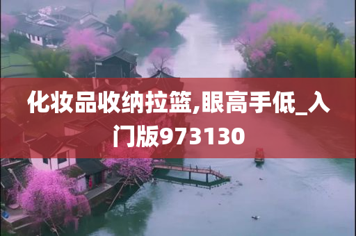 化妆品收纳拉篮,眼高手低_入门版973130