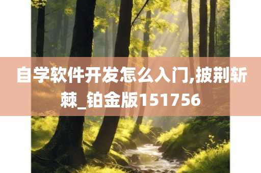 自学软件开发怎么入门,披荆斩棘_铂金版151756