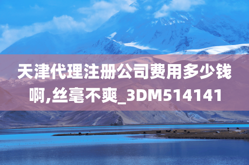 天津代理注册公司费用多少钱啊,丝毫不爽_3DM514141