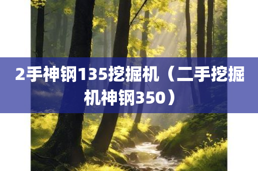 2手神钢135挖掘机（二手挖掘机神钢350）